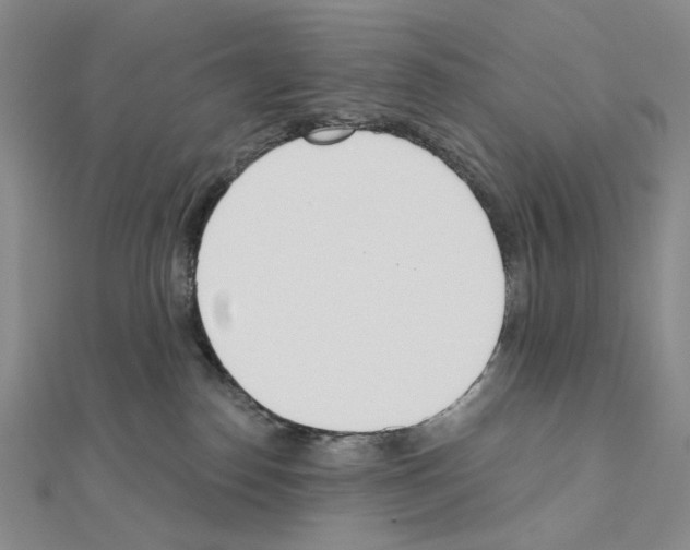 X0000110980186200907310957