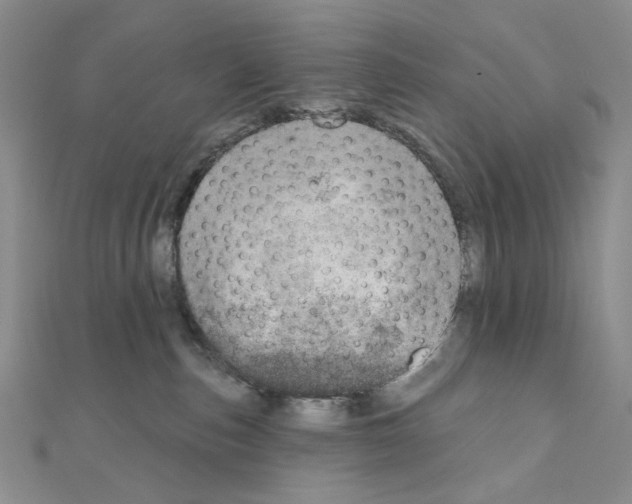 X0000110980187200907310957