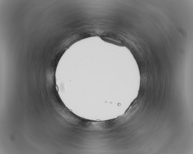 X0000110980188200907310957