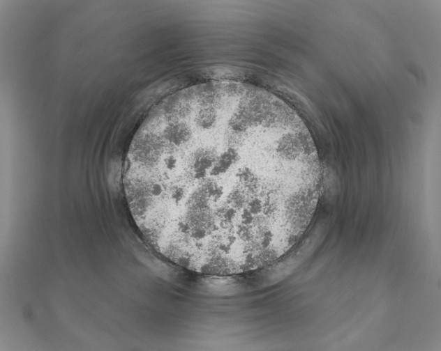 X0000110980189200907310957