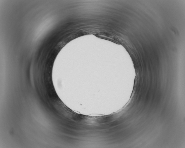 X0000110980190200907310957