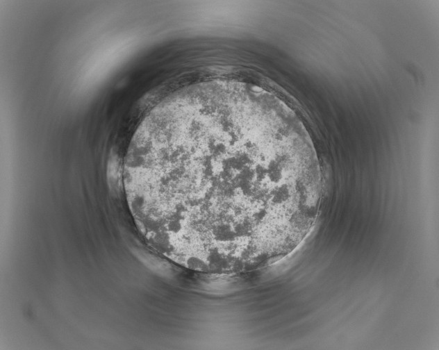 X0000110980191200907310957