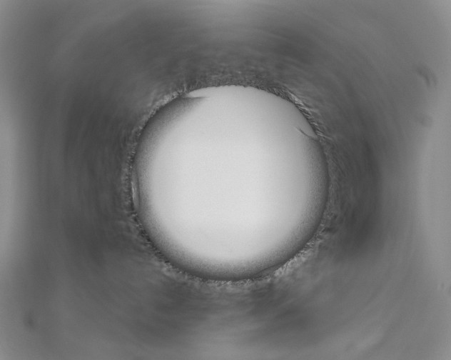 X0000110980192200907310957