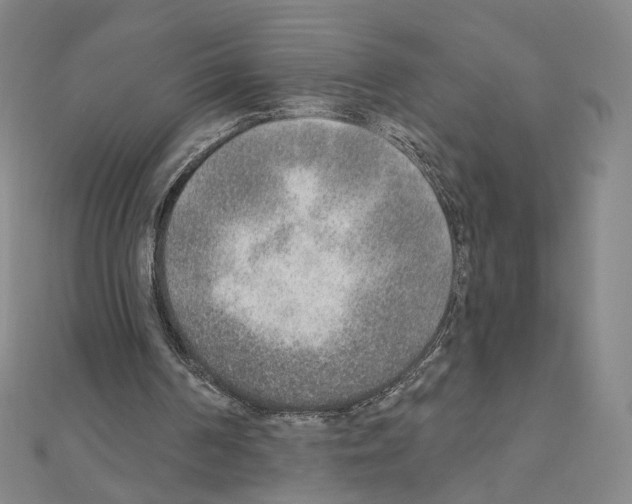 X0000110980194200907310956