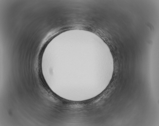 X0000110980198200907310956