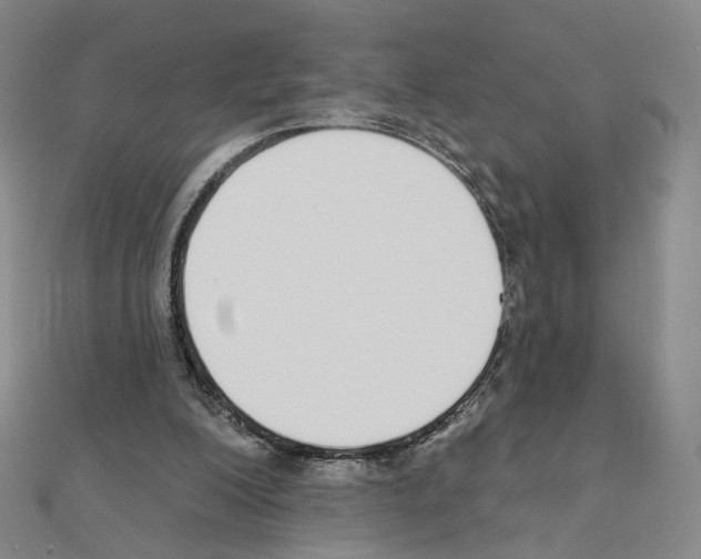 X0000110980200200907310956