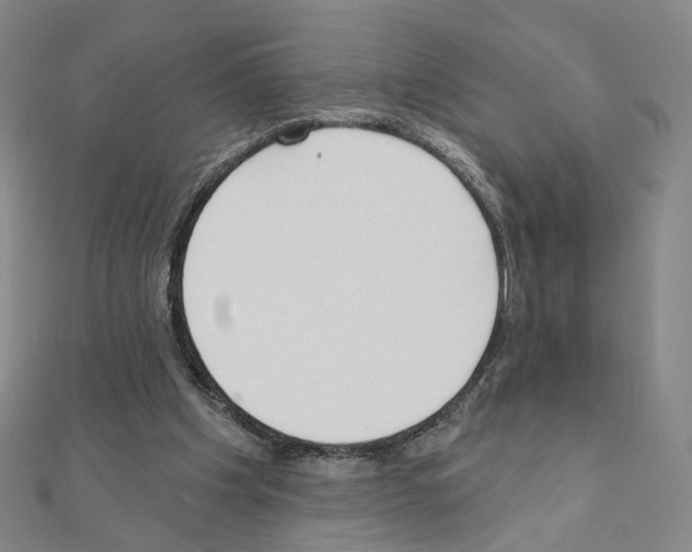 X0000110980201200907310956