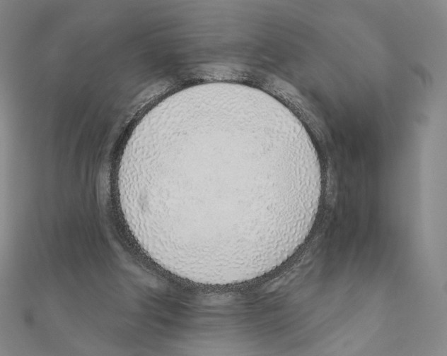 X0000110980202200907310956