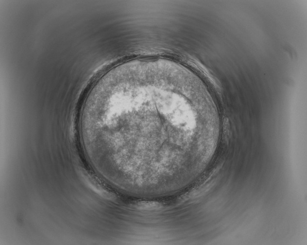 X0000110980203200907310956