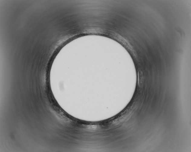 X0000110980204200907310956