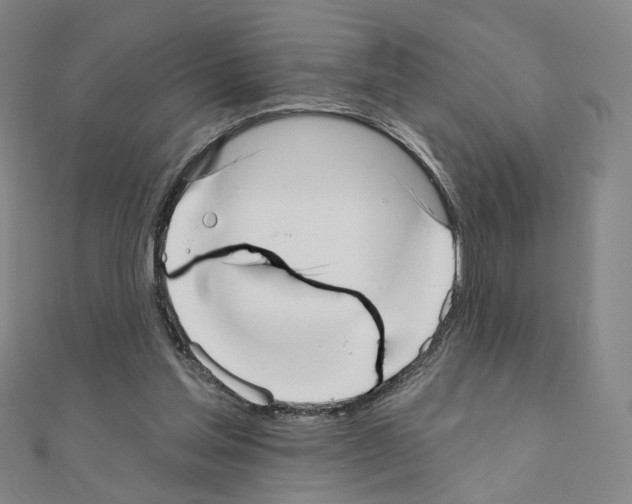 X0000110980205200907310956