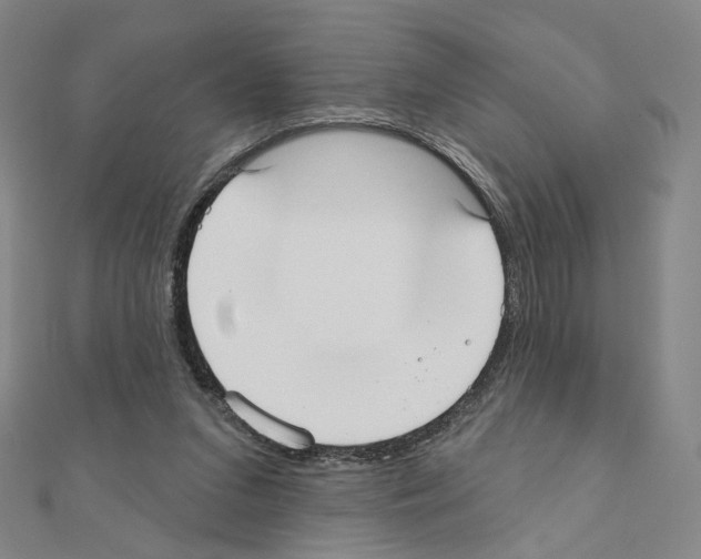 X0000110980207200907310956