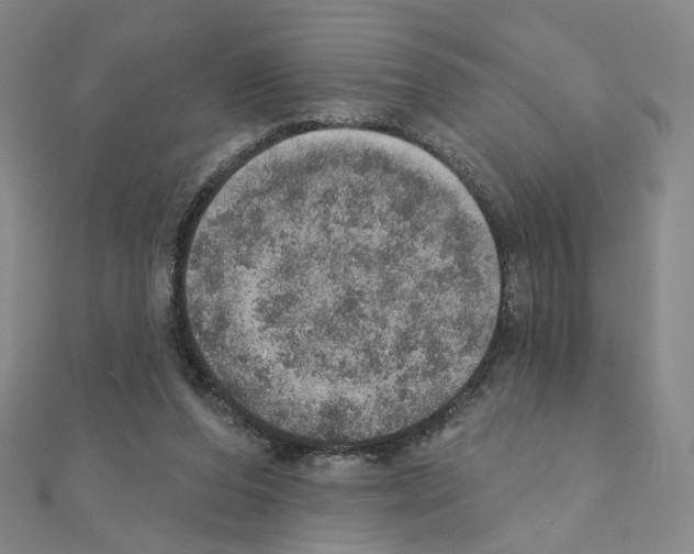 X0000110980208200907310956