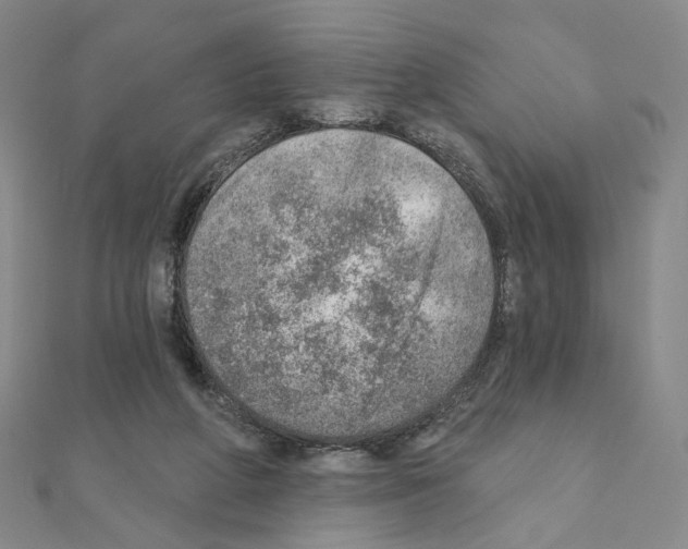 X0000110980210200907310956