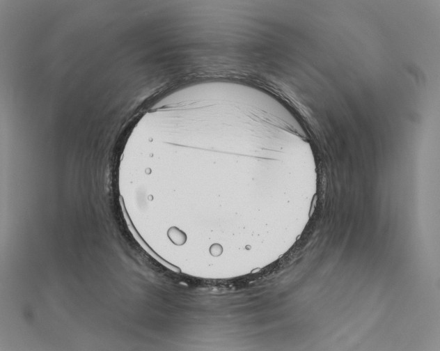 X0000110980211200907310956