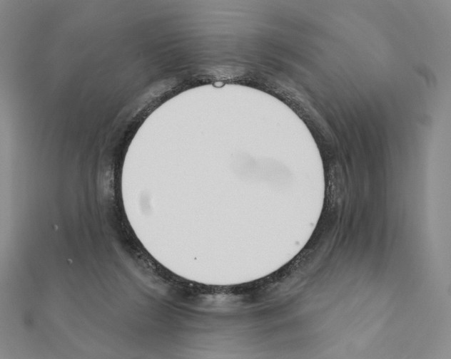 X0000110980212200907310956