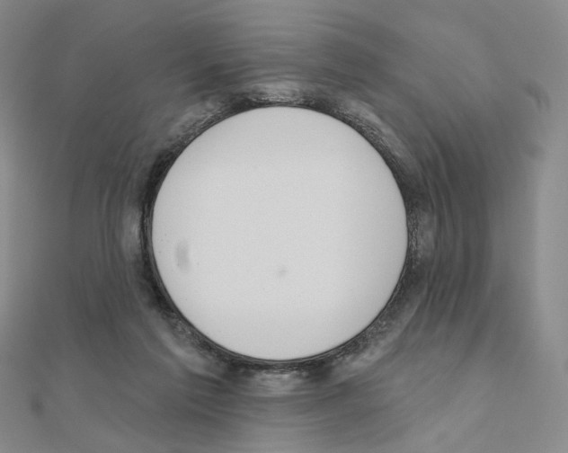 X0000110980213200907310956
