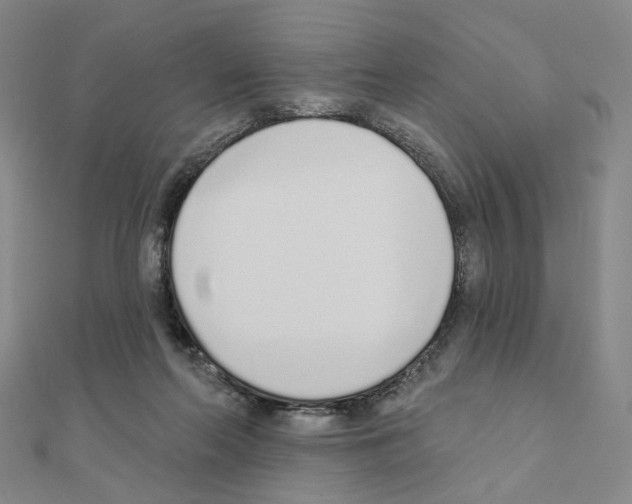 X0000110980214200907310956