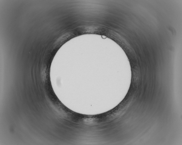X0000110980216200907310956
