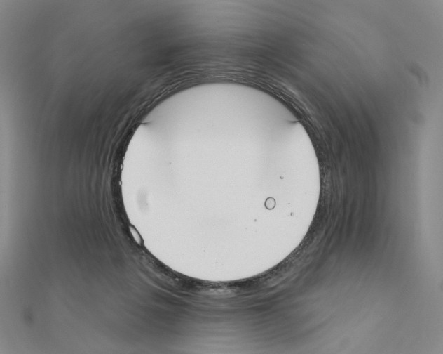 X0000110980217200907310956