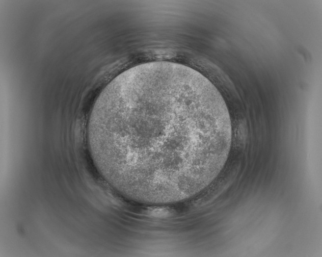 X0000110980218200907310956