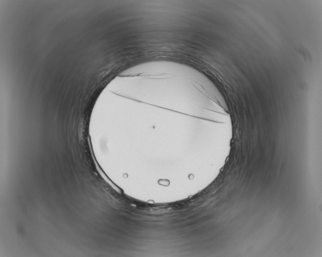 X0000110980219200907310956
