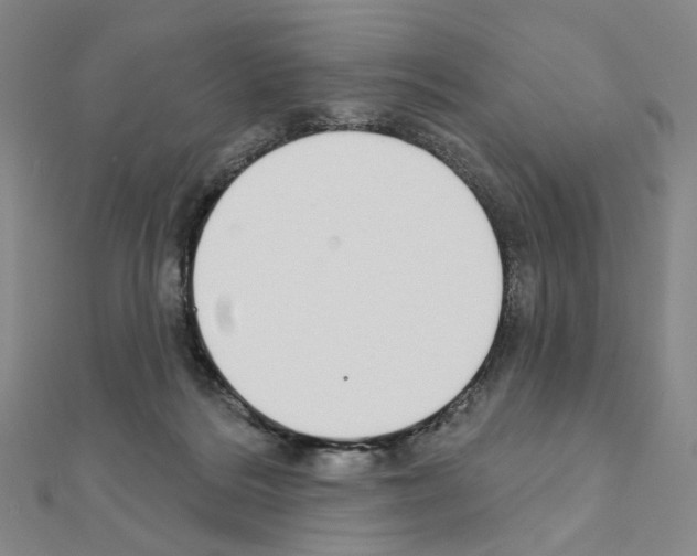 X0000110980220200907310956