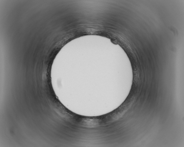 X0000110980221200907310956
