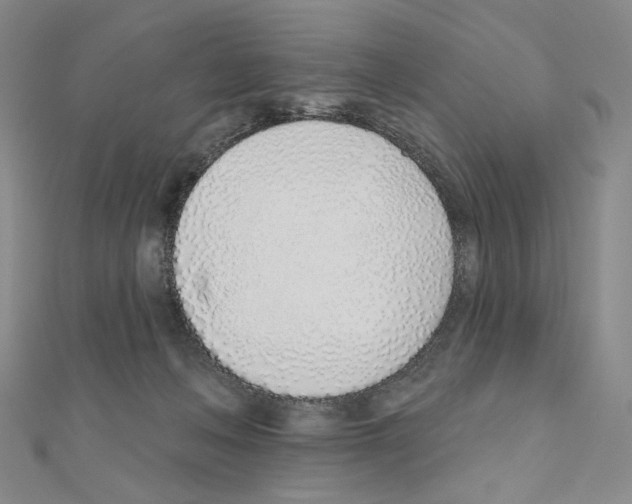 X0000110980222200907310956