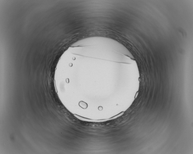 X0000110980223200907310956