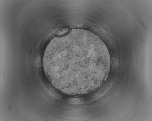 X0000110980224200907310956