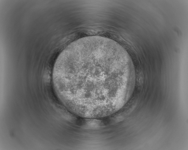 X0000110980226200907310956
