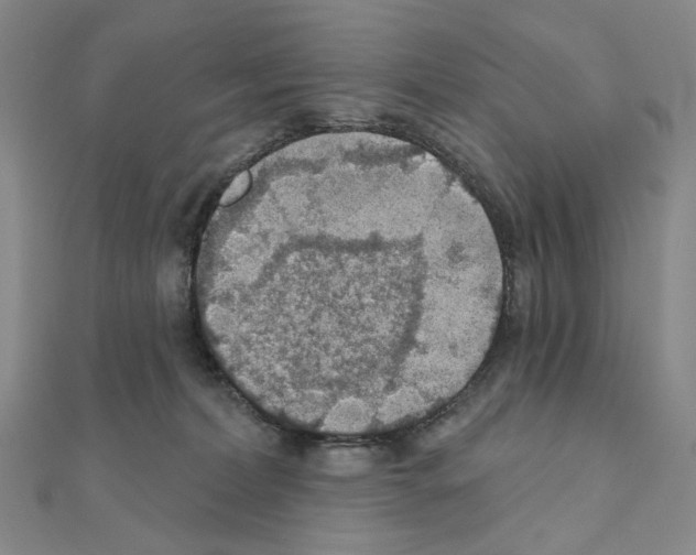 X0000110980228200907310956