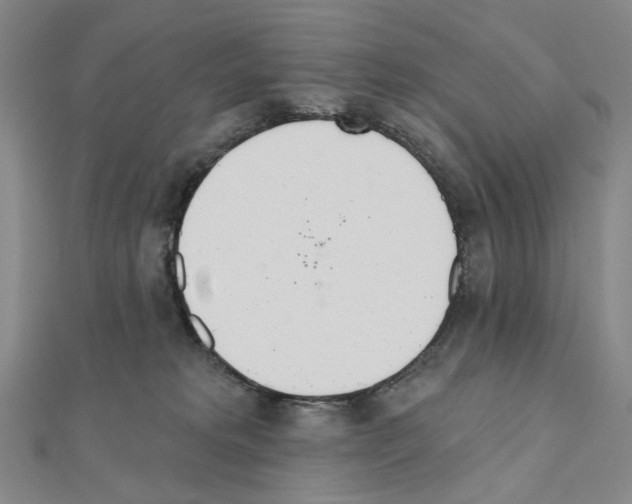 X0000110980229200907310956