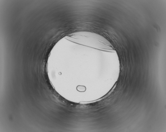 X0000110980231200907310956