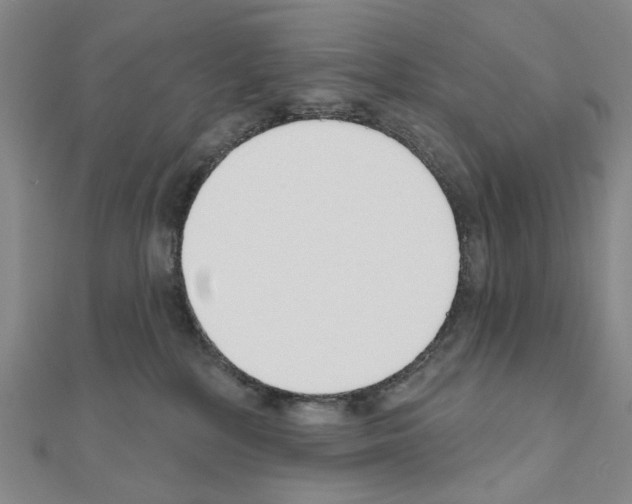 X0000110980232200907310956