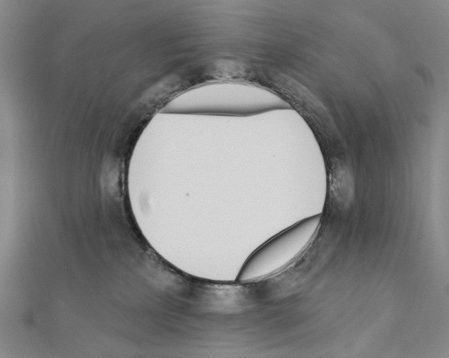 X0000110980233200907310955