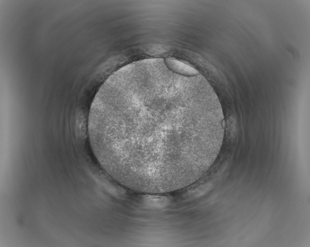 X0000110980234200907310955