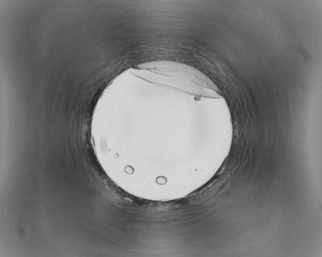 X0000110980235200907310955