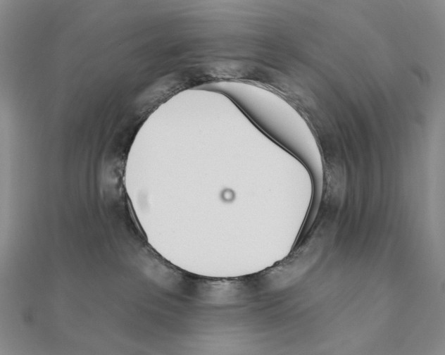 X0000110980237200907310955