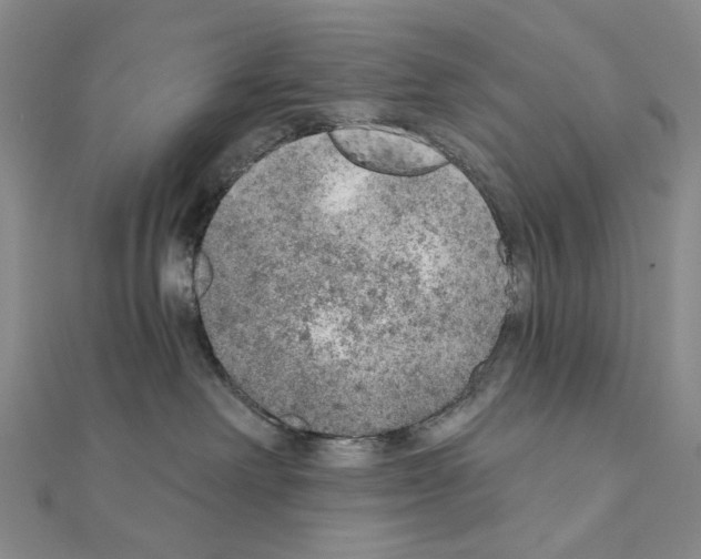 X0000110980238200907310955