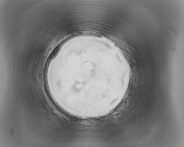 X0000110980241200907310955
