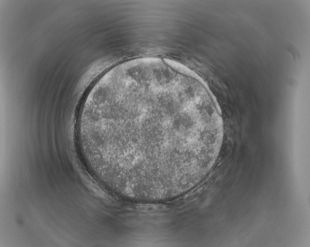 X0000110980242200907310955