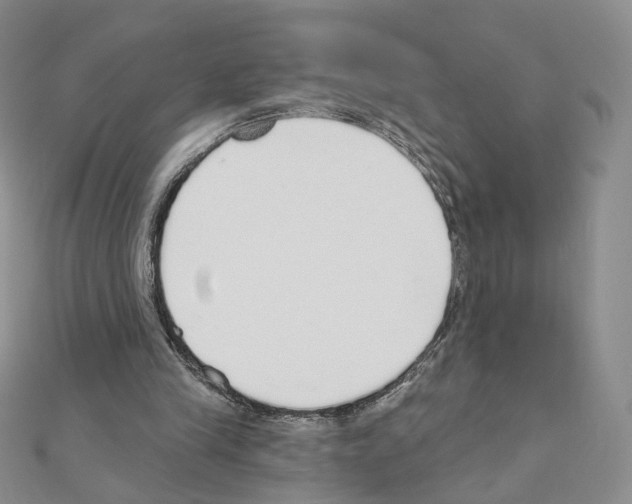 X0000110980245200907310955