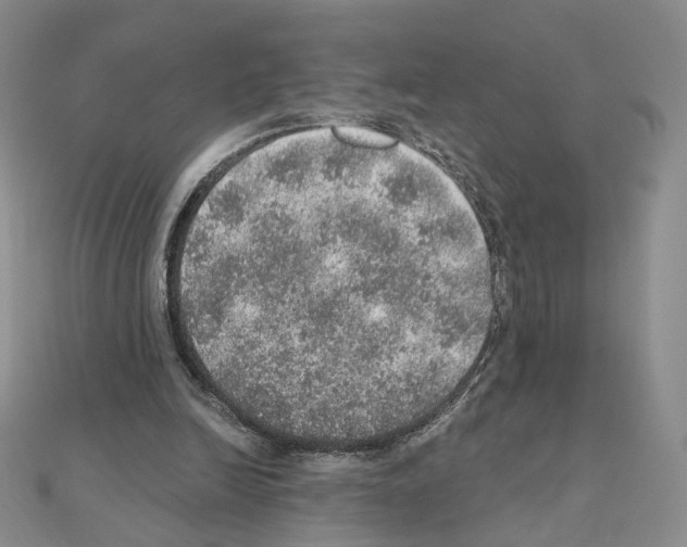 X0000110980246200907310955