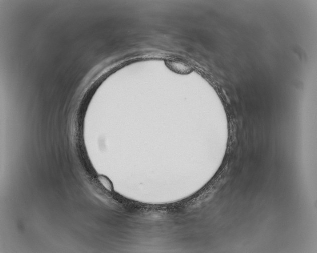 X0000110980247200907310955