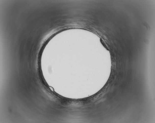 X0000110980248200907310955