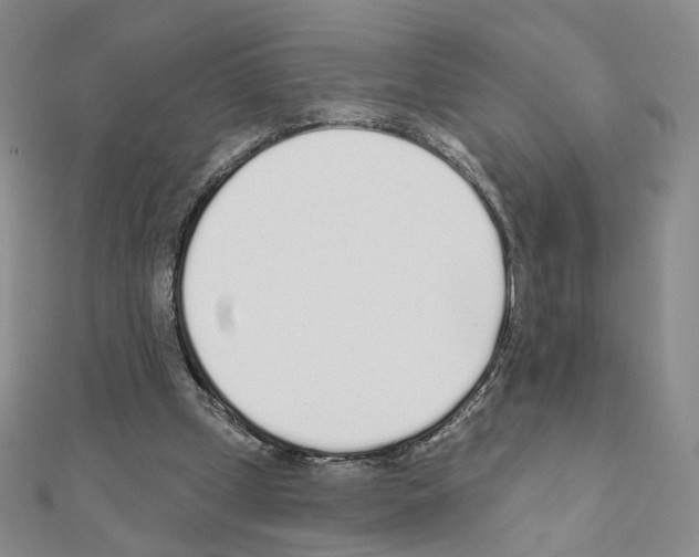 X0000110980249200907310955
