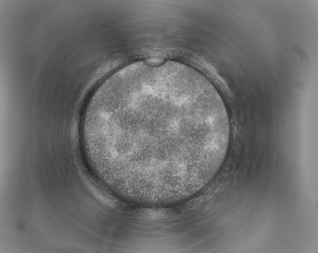 X0000110980250200907310955