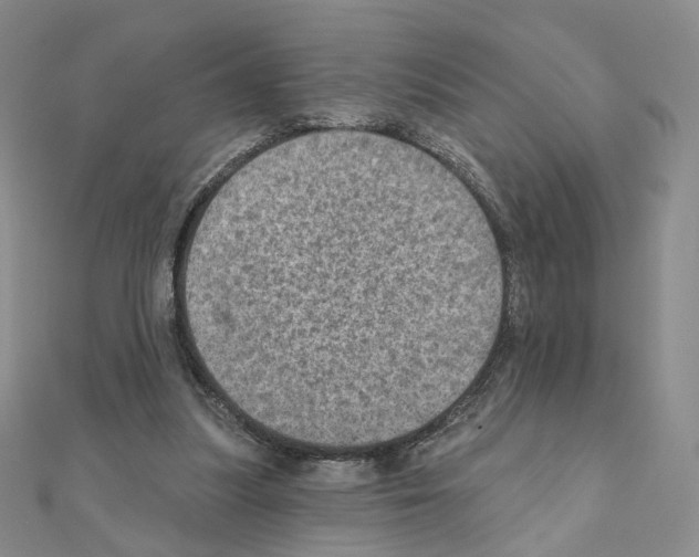 X0000110980251200907310955